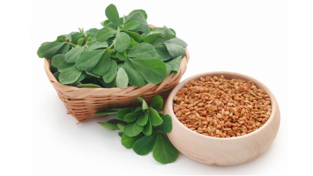 Fenogreco una leguminosa con gran potencial como aditivo en piensos de dorada